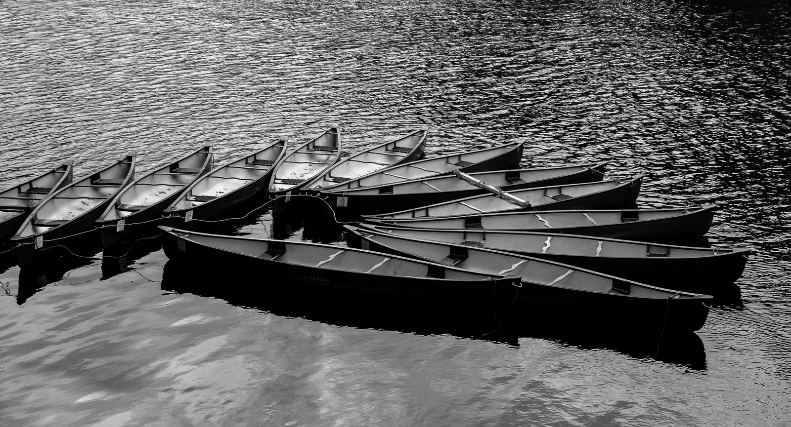 Symonds Yat by Testing Robot Symonds Yat