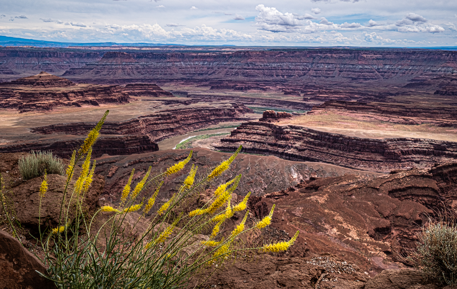 Canyonlands by Kerrin Malone Canyonlands