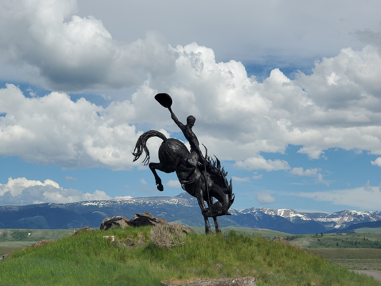 Bronco by Kerrin Malone Bronco