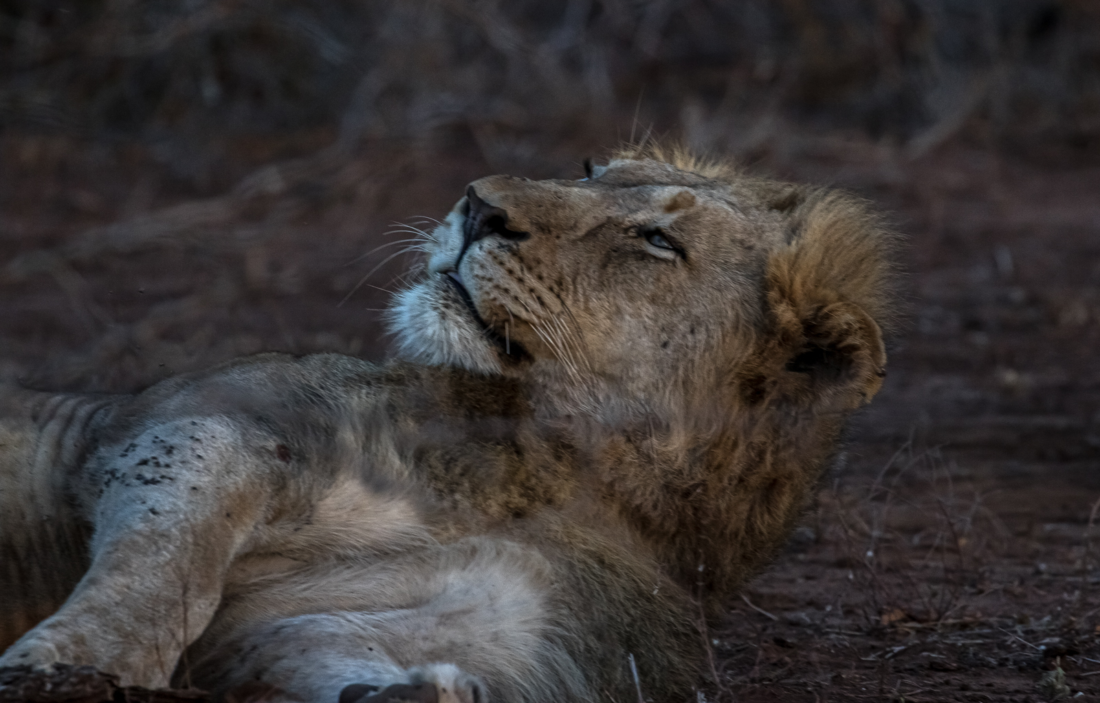 Sleepy
