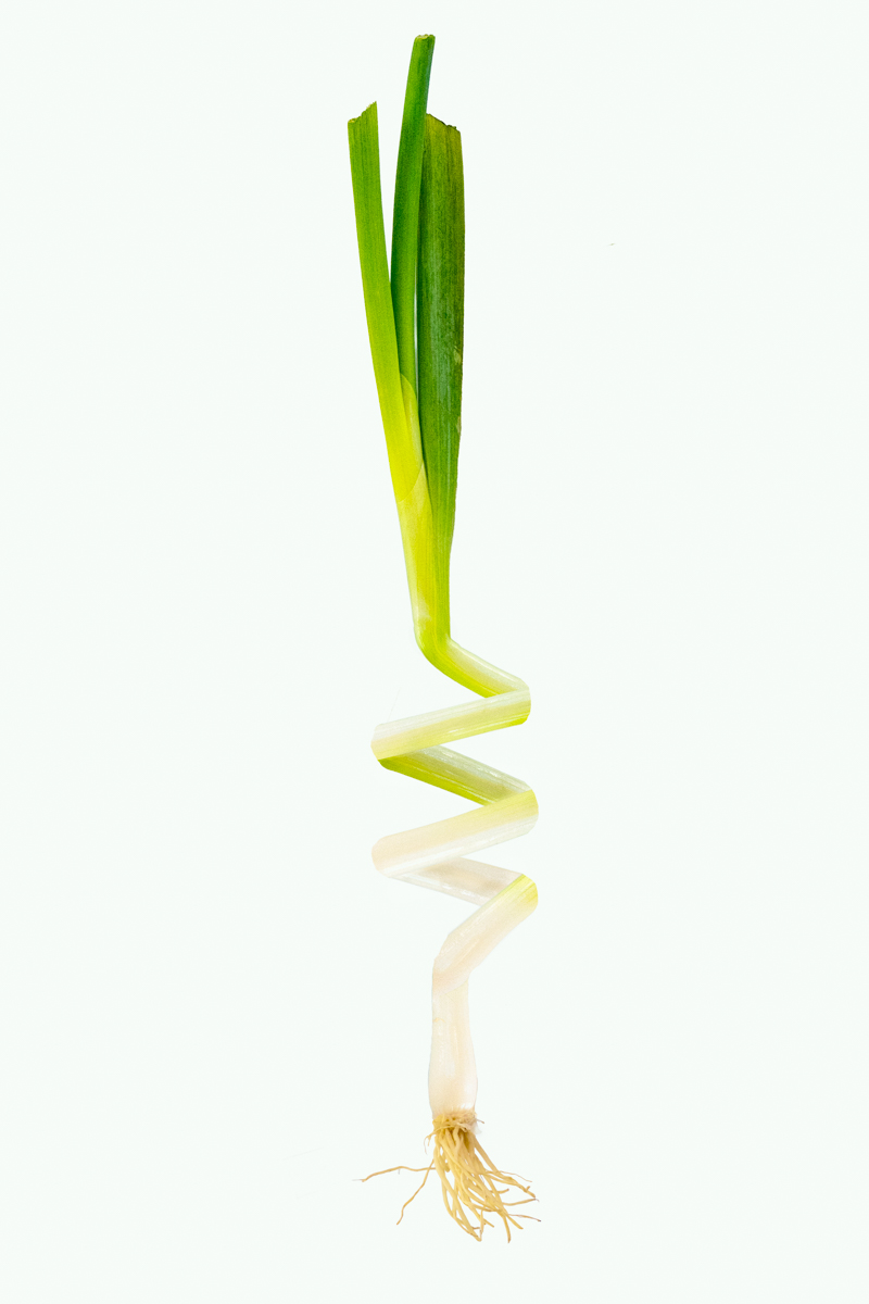 Spring onion by Roger Matthews Spring onion