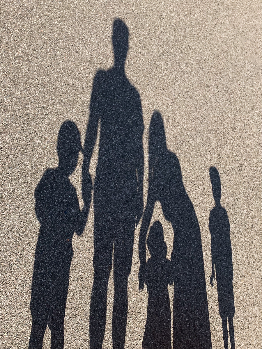 Shadow Family by Roger Matthews Shadow Family
