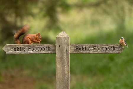 Sara Cremer ARPS CPAGB