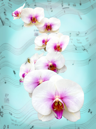 David Kershaw ARPS CPAGB BPE2*