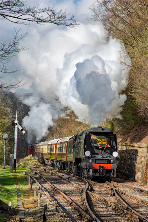 Stephen Womack LRPS CPAGB EFIAP QPSA