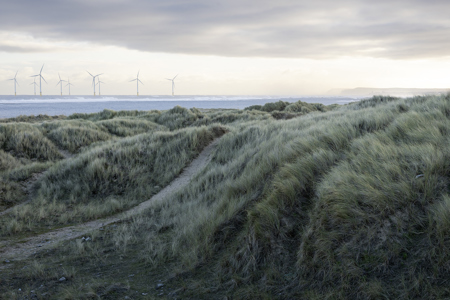 Sara Cremer ARPS CPAGB