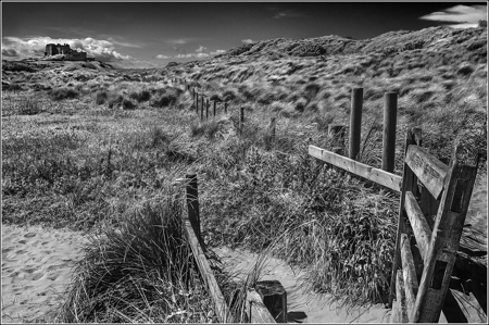 Patrick Maloney CPAGB