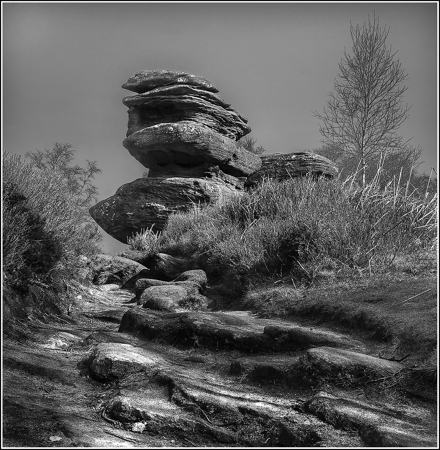 Patrick Maloney CPAGB