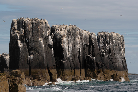 Sara Cremer ARPS CPAGB