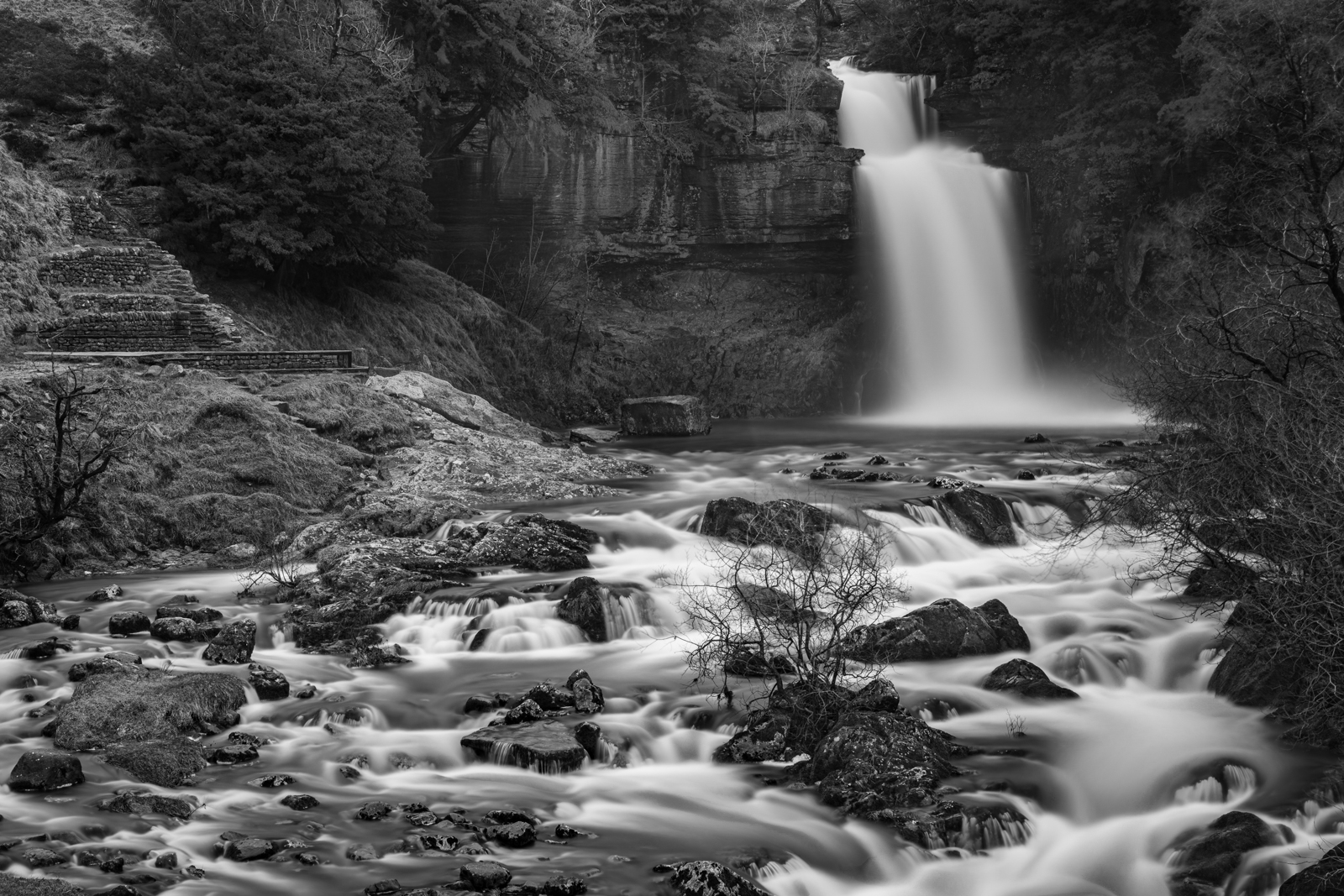 Thornton Force resized-6805