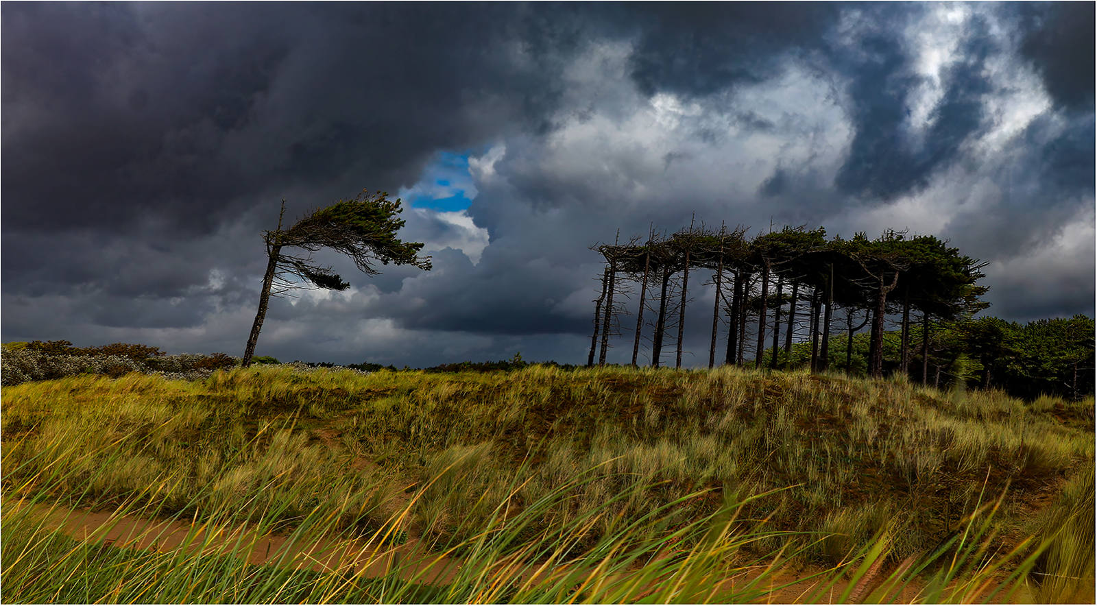 storm brewing by Alan Lawrence storm brewing