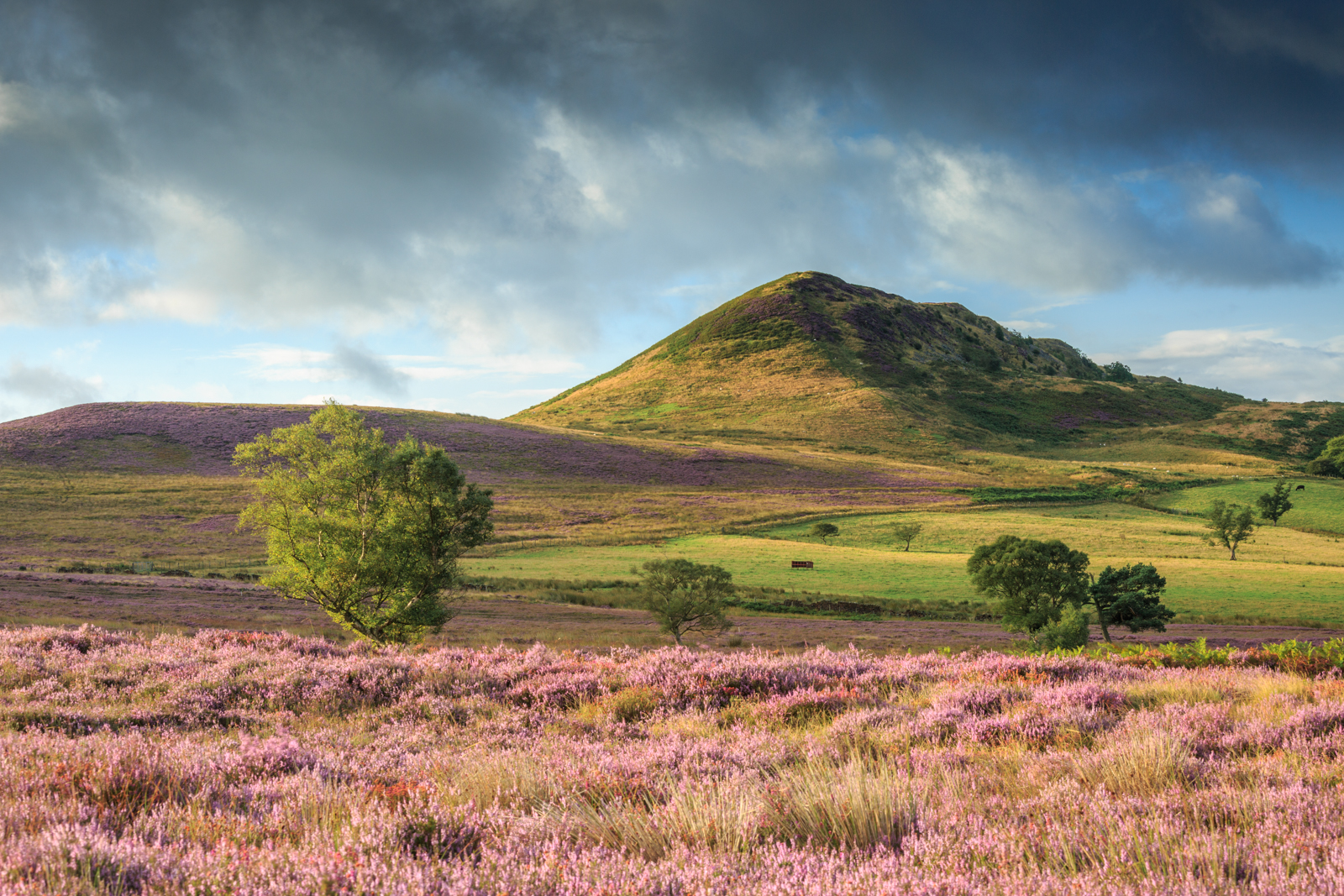 Hawnby Hill by Stephen Womack Hawnby Hill