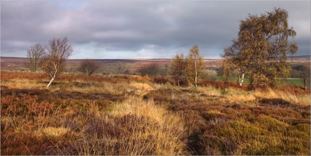 Patrick Maloney CPAGB