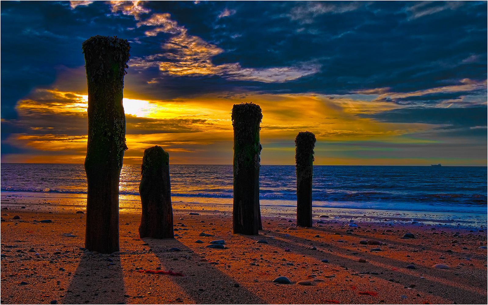 Sentinels by David Kershaw Sentinels