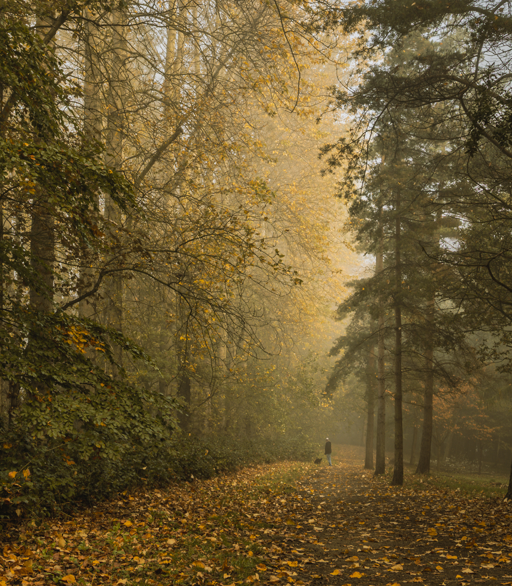 Autumn Sunshine by Robert Bilton Autumn Sunshine