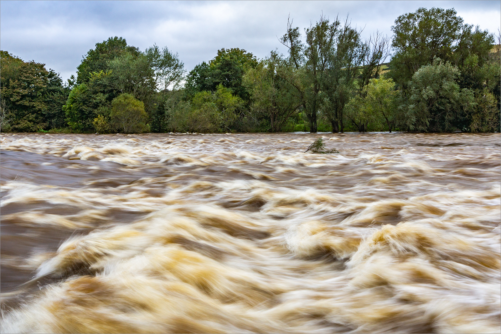 River Tweed in spate