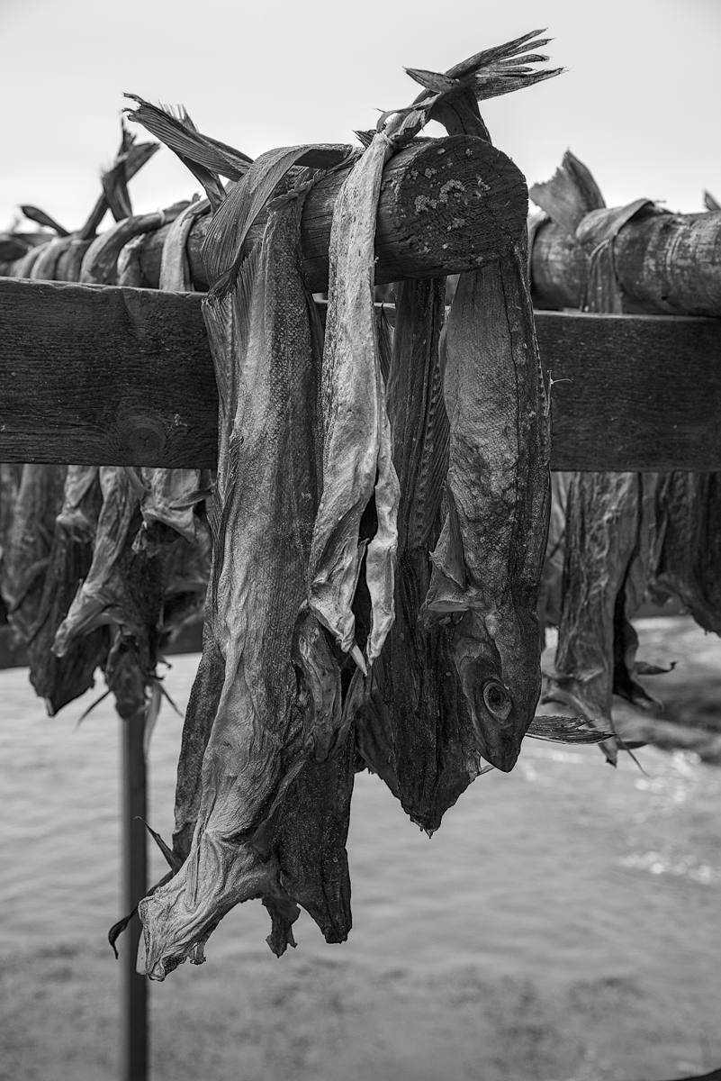 DSC_0013 by Brian Grange DSC_0013