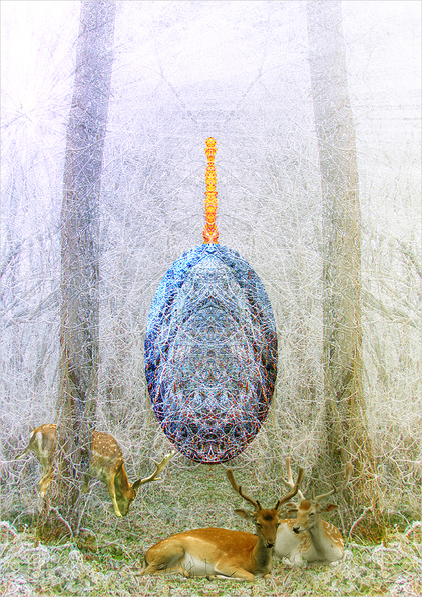 Guardians of the Enchanted Woods