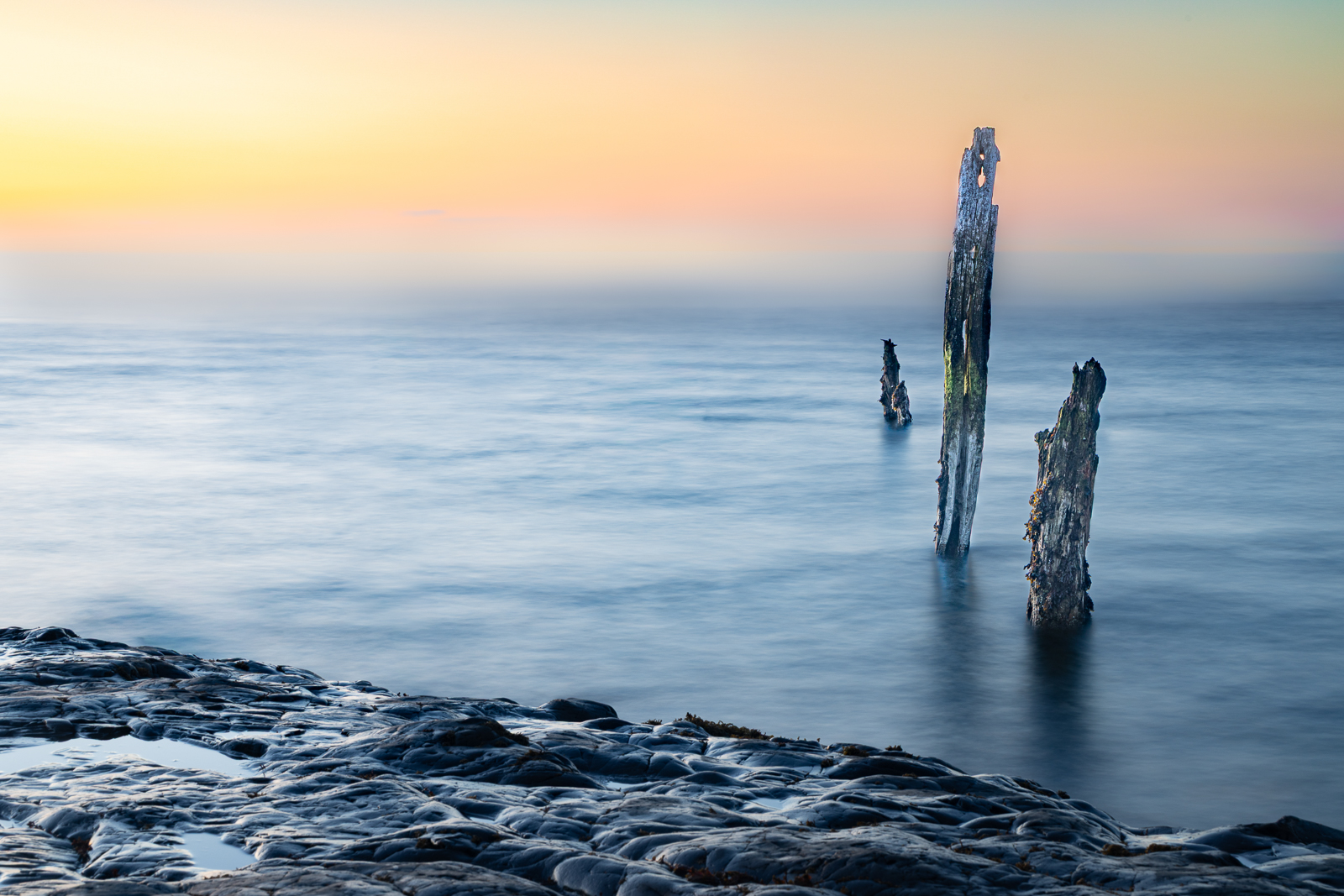 Groynes at sunrise by Tim Helliwell Groynes at sunrise