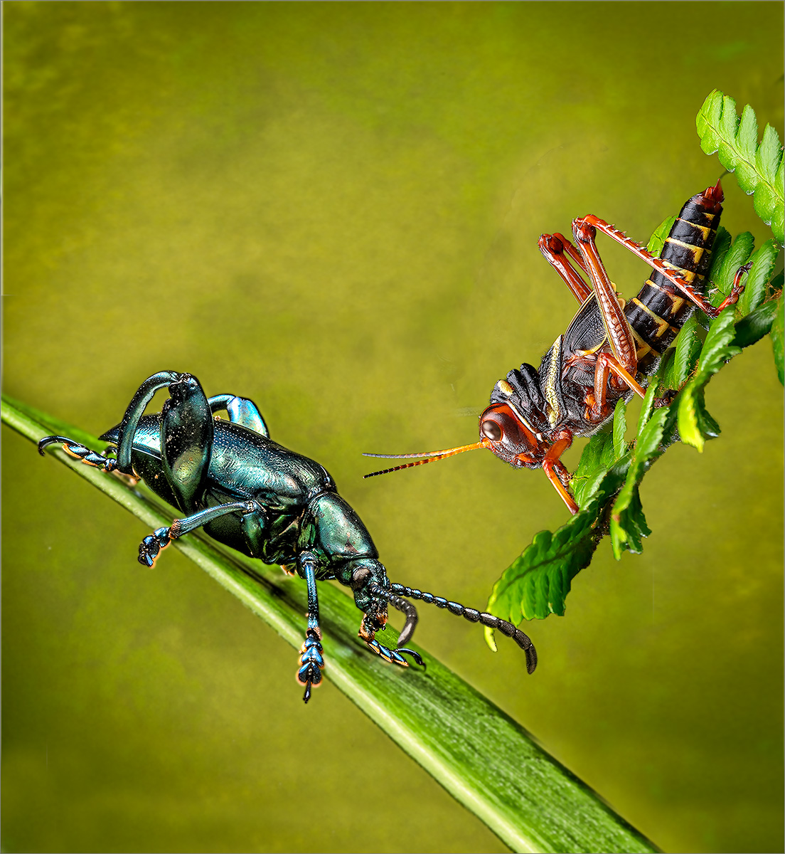 It's a small world by David Kershaw It's a small world