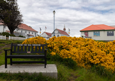 Les Schumer AAPS QPSA GPU CR1