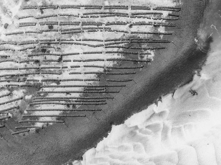 Matt Dawson LAPS QPSA AFIAP