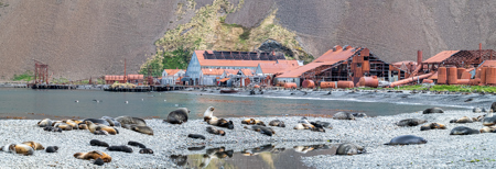 Les Schumer AAPS QPSA GPU CR1