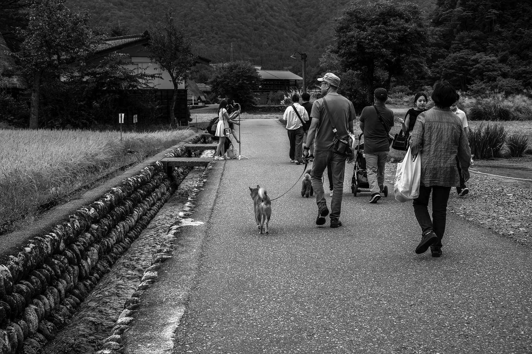 Village Sightseeing by Clara Soedarmo Village Sightseeing