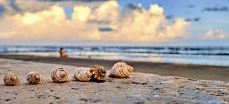 Susanne  Souter  LAPS AFIAP QPSA