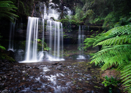 Les Schumer AAPS QPSA GPU CR1