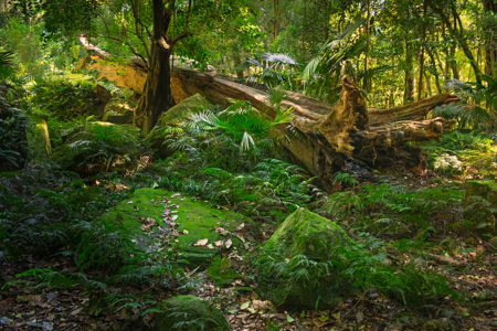 Matt Dawson LAPS QPSA AFIAP