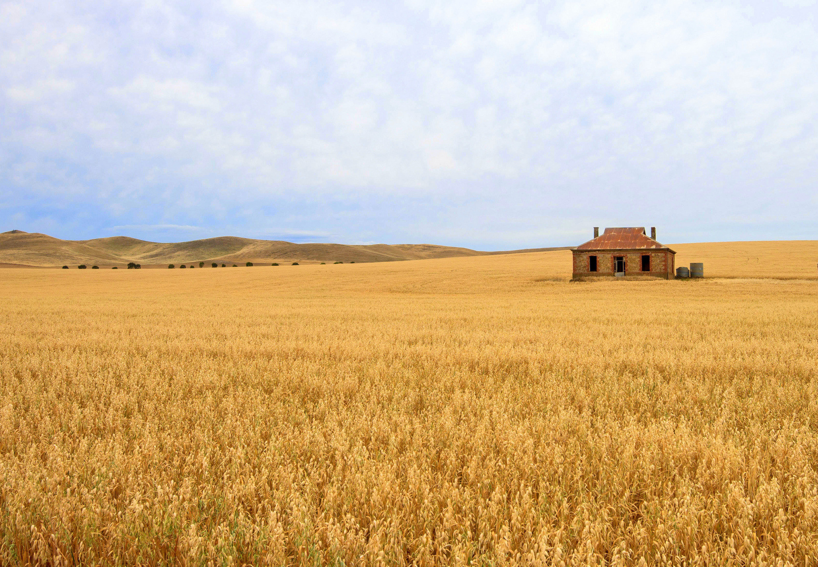 Burra Homestead