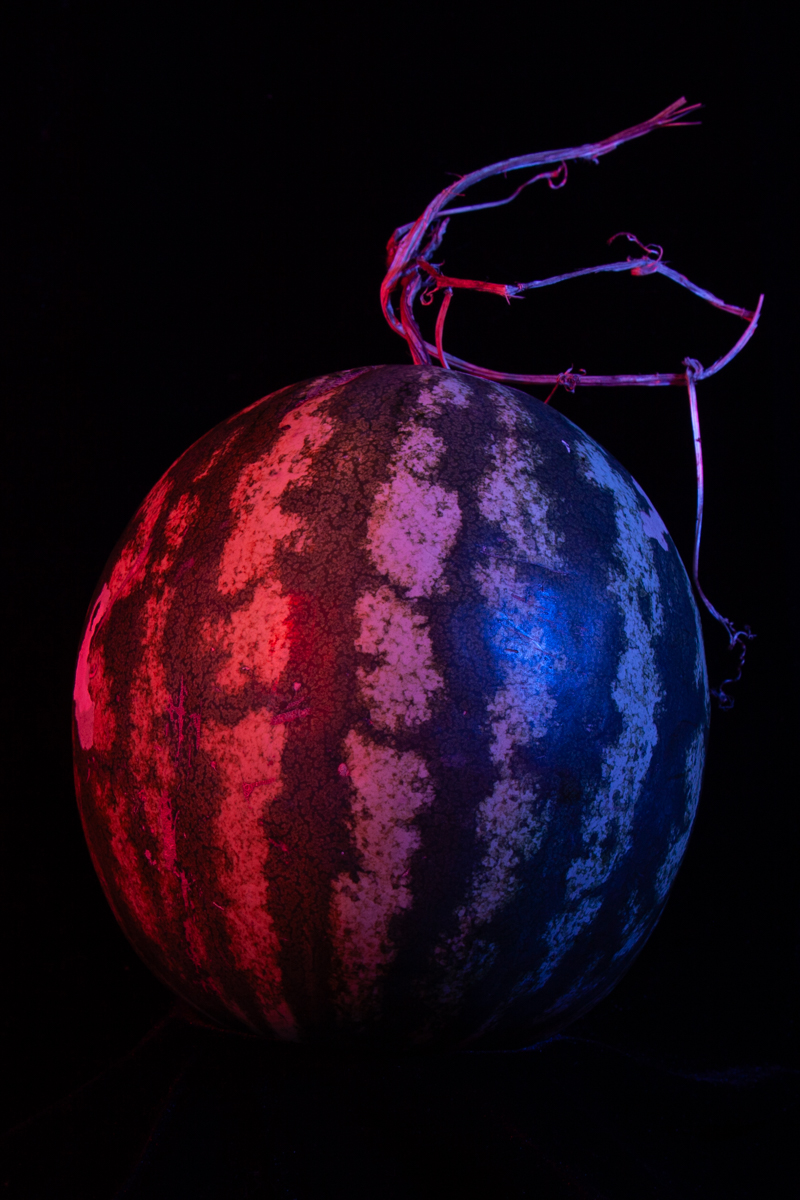 Colour Me Tasty by Sonia Peterlin Colour Me Tasty