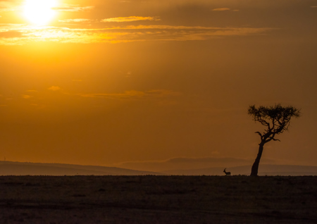 Les Schumer AAPS QPSA GPU CR1