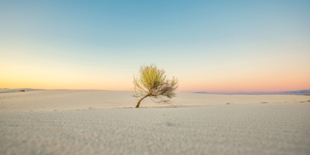 Susanne  Souter  LAPS AFIAP QPSA