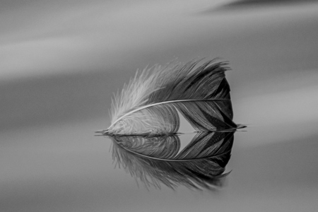 Greg Powell