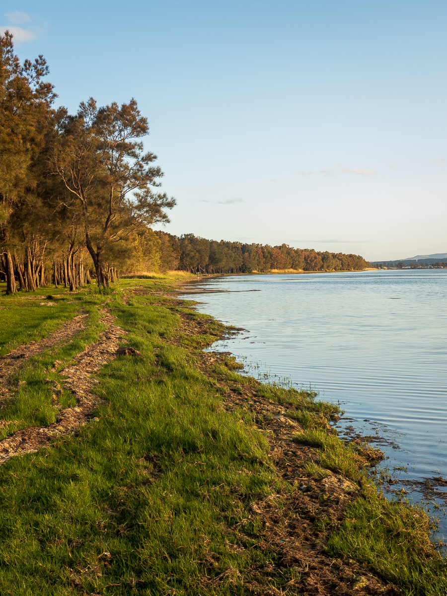 Along the lake by Alex Dawson Along the lake