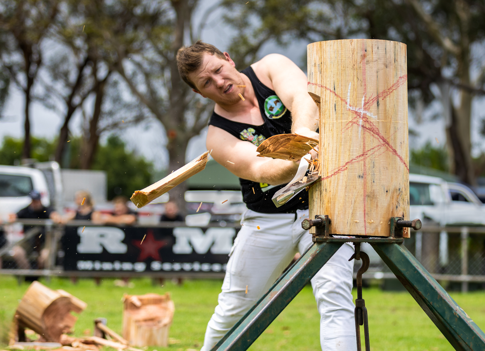 The Wood Chips Are Flying- by Sue Curtis The Wood Chips Are Flying-