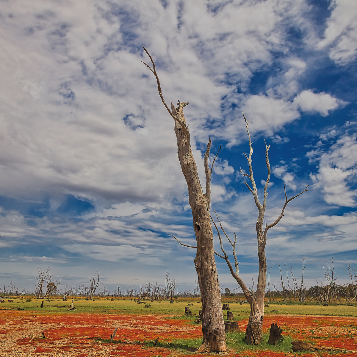 Winton Wetlands