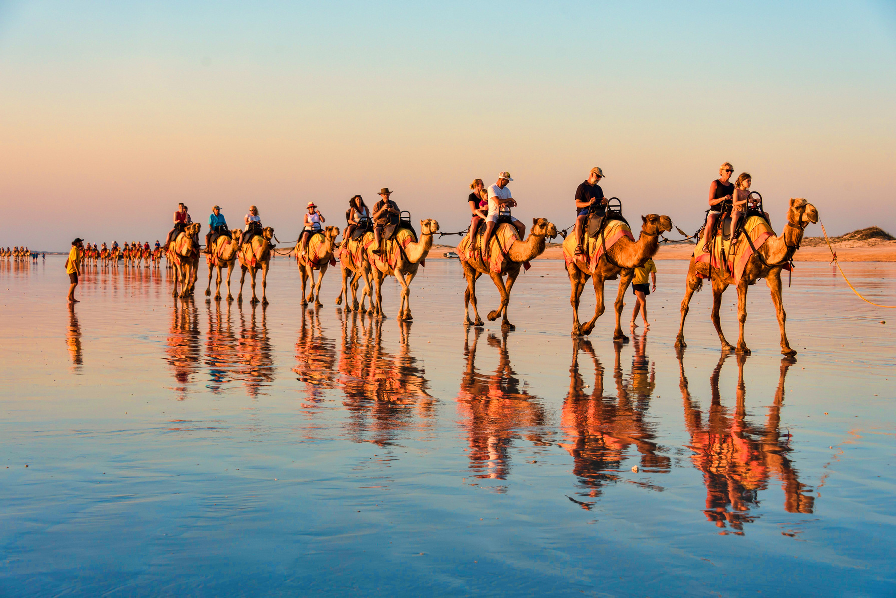 Broome Camels by Susanne Souter Broome Camels
