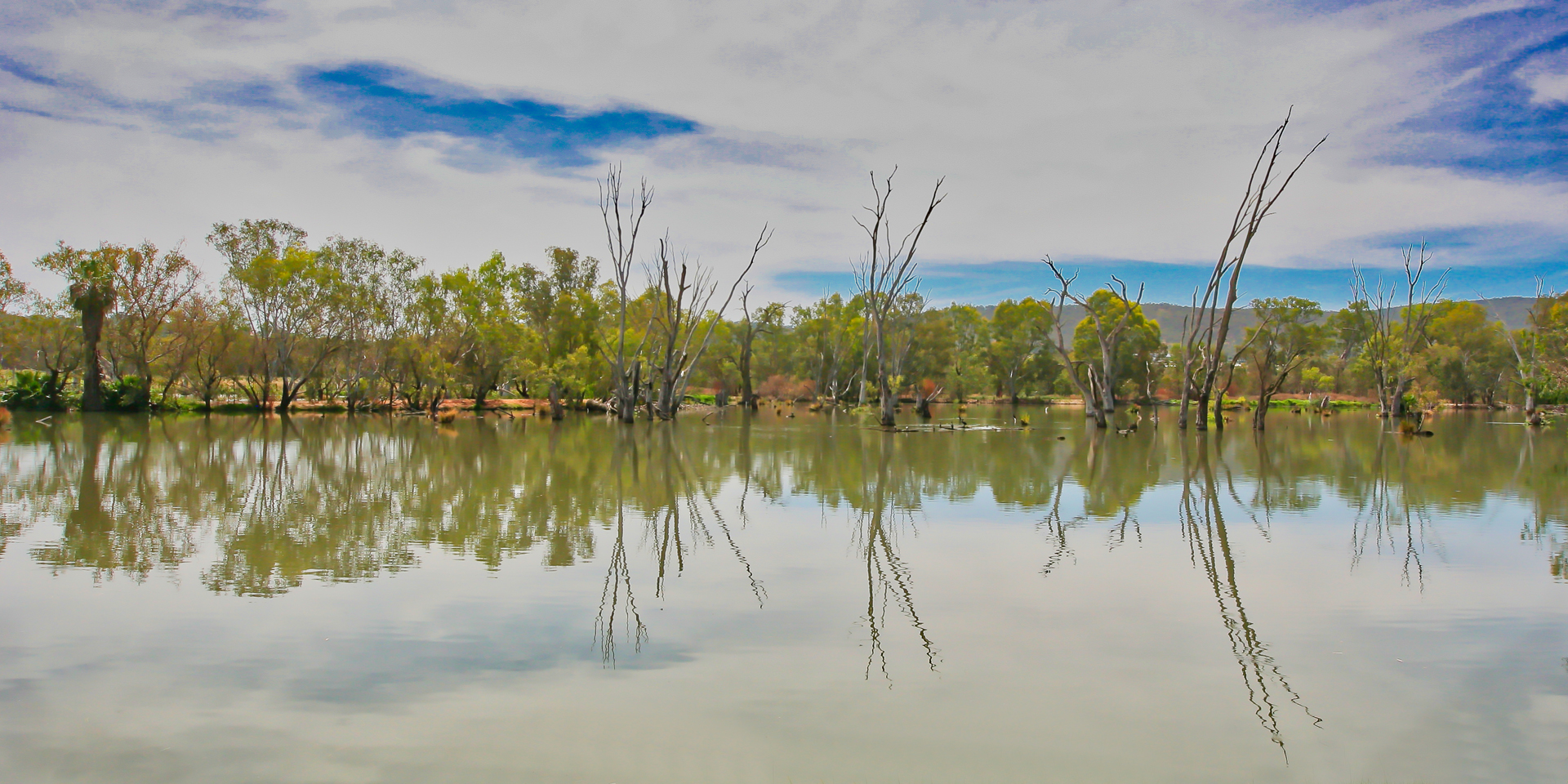 Wonga Wetlands by Paul Chad Wonga Wetlands