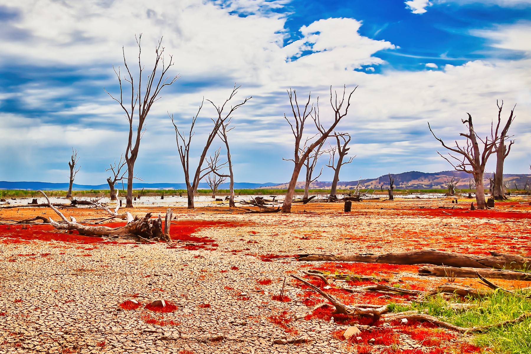 Parched Landscape by Paul Chad Parched Landscape