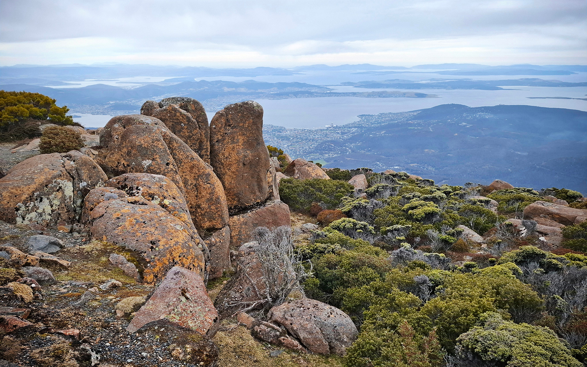 Mt Wellington in Oct by Ann Lamb Mt Wellington in Oct