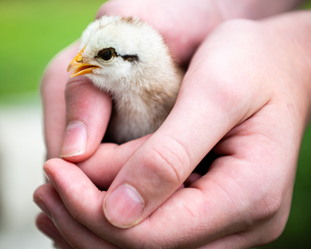 Matt Dawson LAPS QPSA AFIAP