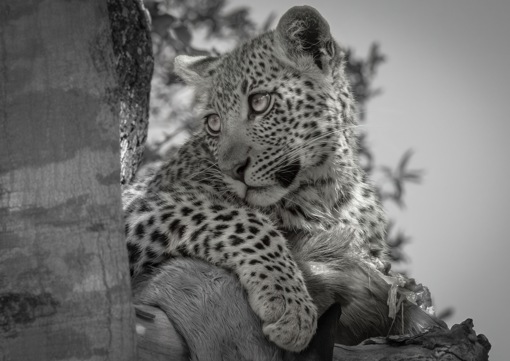 This is mine by Mandy Varley This is mine