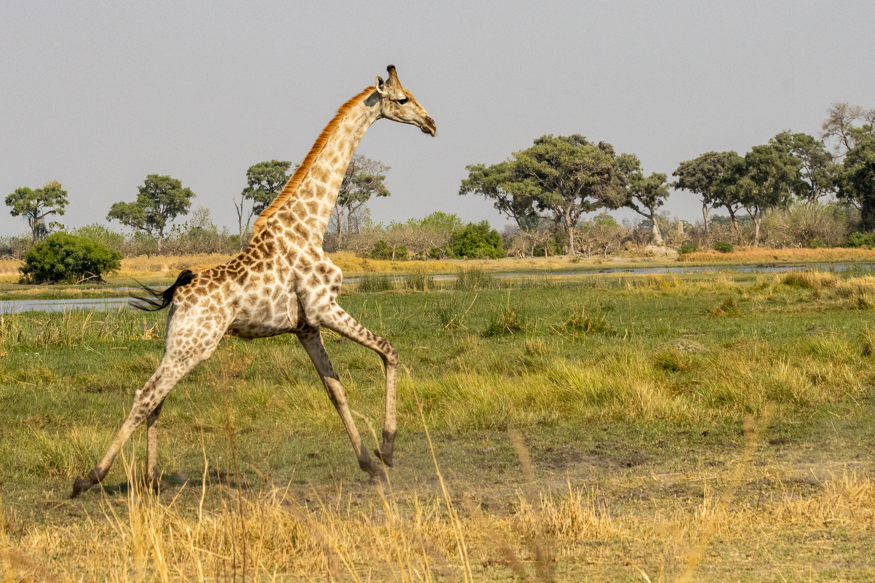 Running through the Delta