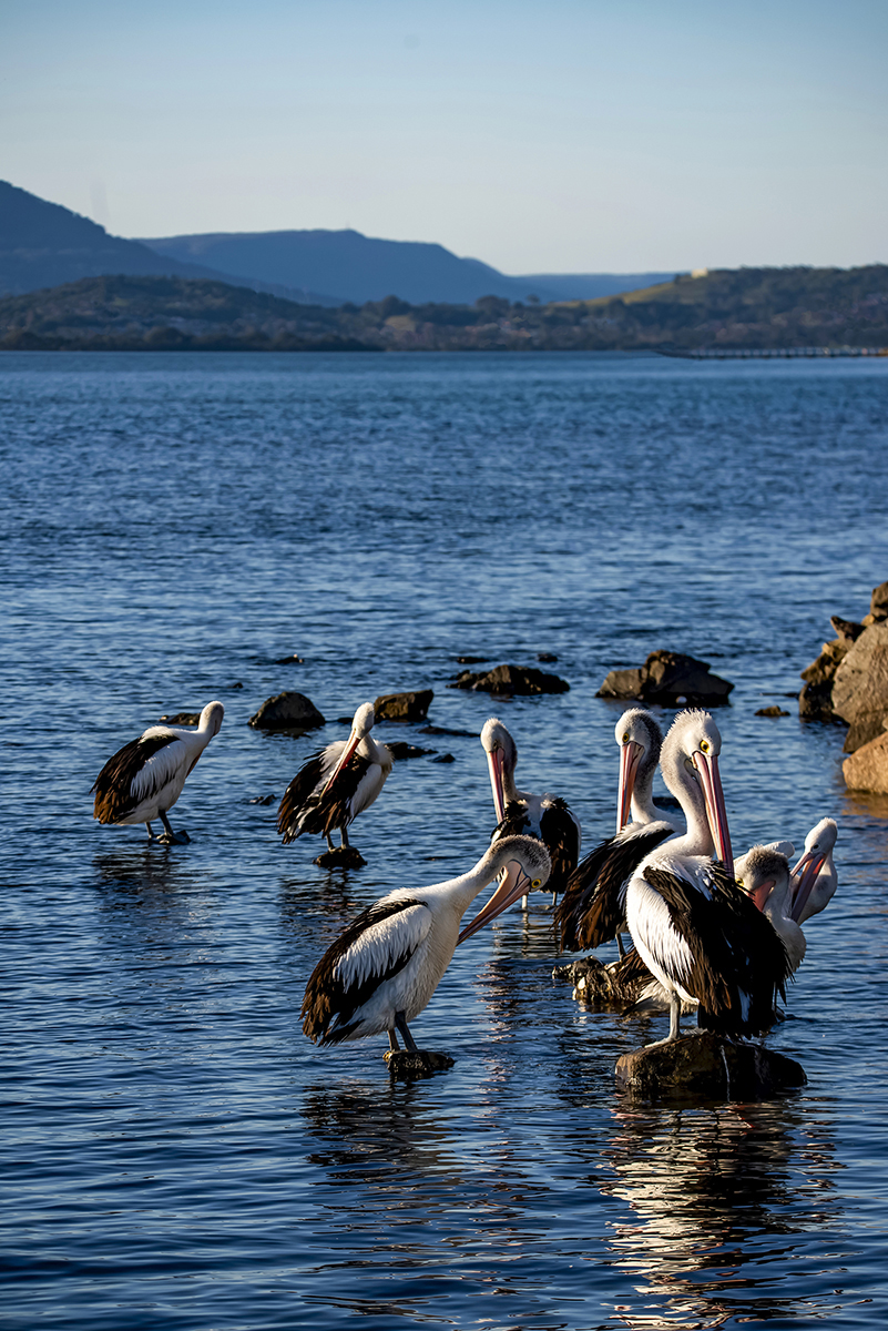 Bath Time by Timothy Hoevenagel Bath Time