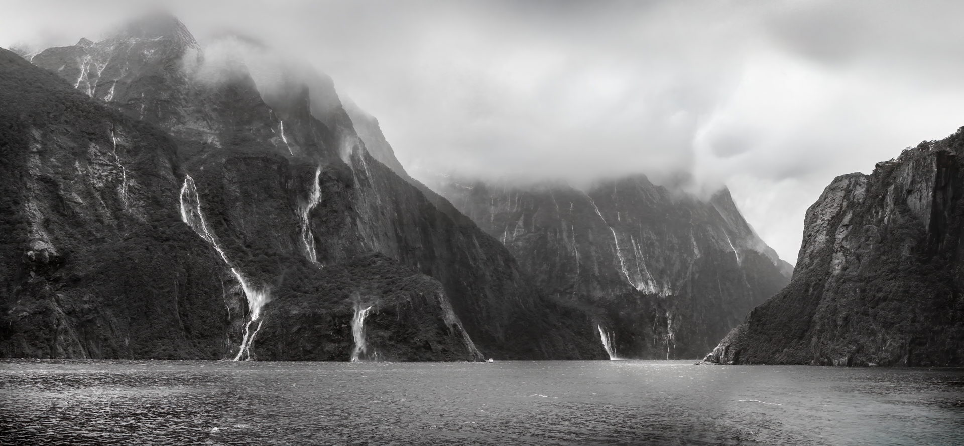 Milford in Mist by Sue Curtis Milford in Mist