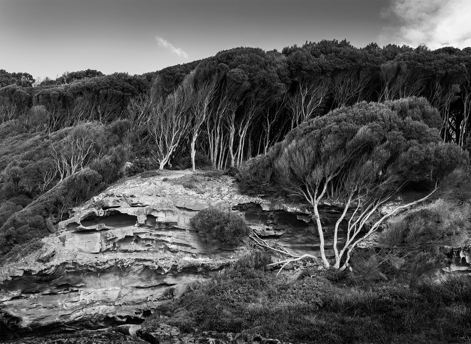 Windswept-Cliffs by vivienne noble Windswept-Cliffs