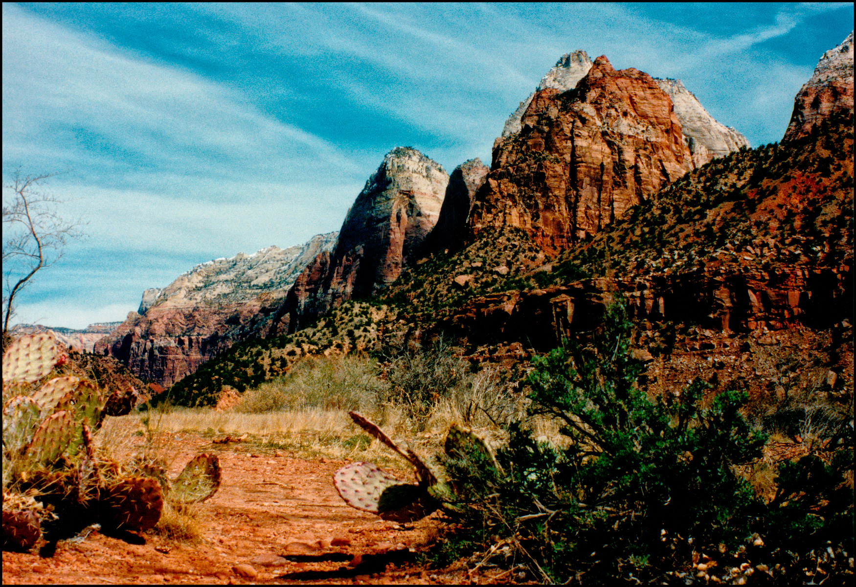 Zion#1 by Effan Effans Zion#1